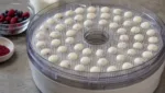 Joghurtdrops im Doerrautomat – cremige Snackbaellchen trocknen